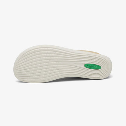 Saguaro Sock Shoes